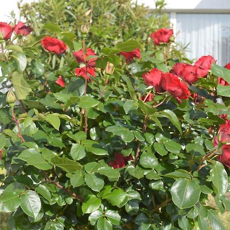 Les Jardins D'Oleron Otel Saint-Pierre-d'Oleron Dış mekan fotoğraf